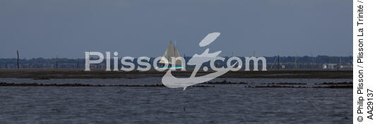 Bassin d'Arcachon - © Philip Plisson / Plisson La Trinité / AA29137 - Nos reportages photos - De Soulac à Capbreton