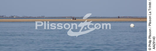 Bassin d'Arcachon - © Philip Plisson / Plisson La Trinité / AA29140 - Nos reportages photos - Philip Plisson