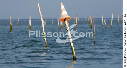 Bassin d'Arcachon - © Philip Plisson / Plisson La Trinité / AA29144 - Nos reportages photos - Ostréiculture