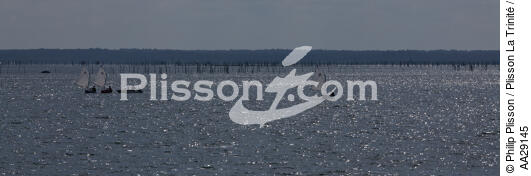 Bassin d'Arcachon - © Philip Plisson / Plisson La Trinité / AA29145 - Nos reportages photos - Philip Plisson