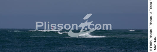 Bassin d'Arcachon - © Philip Plisson / Plisson La Trinité / AA29146 - Nos reportages photos - De Soulac à Capbreton