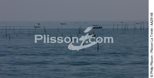 Bassin d'Arcachon - © Philip Plisson / Plisson La Trinité / AA29148 - Nos reportages photos - Philip Plisson