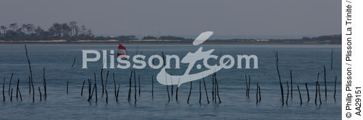 Bassin d'Arcachon - © Philip Plisson / Plisson La Trinité / AA29151 - Nos reportages photos - Philip Plisson