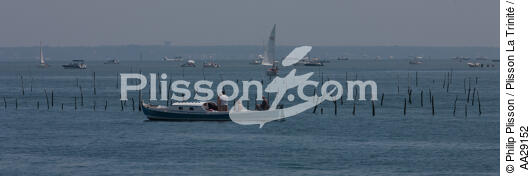 Bassin d'Arcachon - © Philip Plisson / Plisson La Trinité / AA29152 - Nos reportages photos - Motonautisme