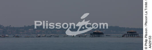 Bassin d'Arcachon - © Philip Plisson / Plisson La Trinité / AA29153 - Nos reportages photos - Philip Plisson