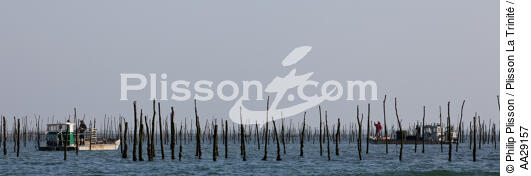 Bassin d'Arcachon - © Philip Plisson / Plisson La Trinité / AA29157 - Nos reportages photos - Ponton ostréicole