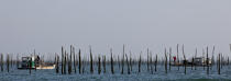 Basin of arcachon © Philip Plisson / Plisson La Trinité / AA29157 - Photo Galleries - Oyster farming