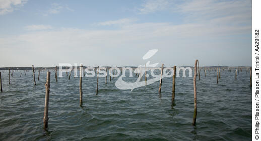 Bassin d'Arcachon - © Philip Plisson / Plisson La Trinité / AA29182 - Nos reportages photos - De Soulac à Capbreton
