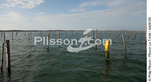 Bassin d'Arcachon - © Philip Plisson / Plisson La Trinité / AA29183 - Nos reportages photos - Philip Plisson