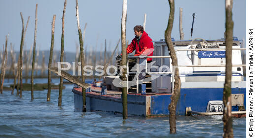 Bassin d'Arcachon - © Philip Plisson / Plisson La Trinité / AA29194 - Nos reportages photos - Philip Plisson