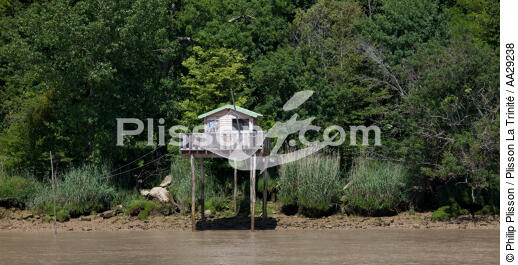 Gauriac - © Philip Plisson / Plisson La Trinité / AA29238 - Photo Galleries - Square fishing net
