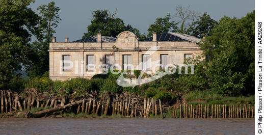 North island on la Gironde river - © Philip Plisson / Plisson La Trinité / AA29248 - Photo Galleries - River (33)