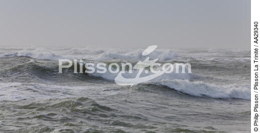 Pertuis de Maumuson - © Philip Plisson / Plisson La Trinité / AA29340 - Nos reportages photos - Mer