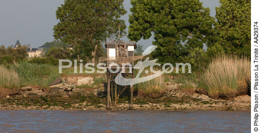 Saint-Estèphe - © Philip Plisson / Plisson La Trinité / AA29374 - Nos reportages photos - Materiel de pêche