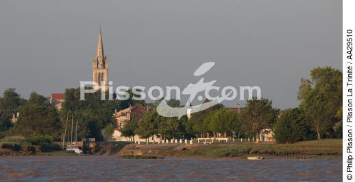 Saint Christoly Médoc - © Philip Plisson / Plisson La Trinité / AA29510 - Photo Galleries - From Royan to Bordeaux