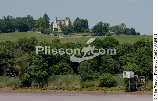 Villeneuve sur Gironde - © Philip Plisson / Plisson La Trinité / AA29513 - Photo Galleries - Castle