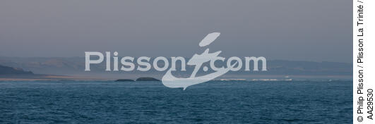 Soulac-sur-mer - © Philip Plisson / Plisson La Trinité / AA29530 - Nos reportages photos - Dune