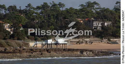 Saint Palais sur mer - © Philip Plisson / Plisson La Trinité / AA29547 - Nos reportages photos - Hydrologie