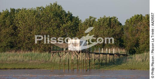 Saint-Yzan-de-Médoc - © Philip Plisson / Plisson La Trinité / AA29557 - Photo Galleries - Square fishing net