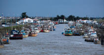 Port-du-Bec © Philip Plisson / Plisson La Trinité / AA29576 - Photo Galleries - Shellfish farming