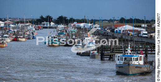 Port-du-Bec - © Philip Plisson / Plisson La Trinité / AA29577 - Nos reportages photos - Port
