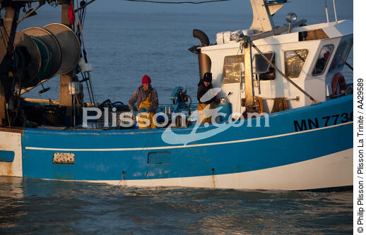 Pêche au Maigre dans l'estuaire de la Gironde - © Philip Plisson / Plisson La Trinité / AA29589 - Nos reportages photos - De Royan à Bordeaux
