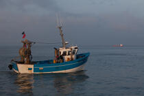 Pêche au Maigre dans l'estuaire de la Gironde © Philip Plisson / Plisson La Trinité / AA29590 - Nos reportages photos - Pêche