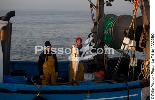 Pêche au Maigre dans l'estuaire de la Gironde - © Philip Plisson / Plisson La Trinité / AA29592 - Nos reportages photos - Pêche côtière