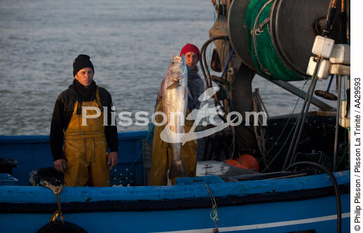 Pêche au Maigre dans l'estuaire de la Gironde - © Philip Plisson / Plisson La Trinité / AA29593 - Nos reportages photos - Bateau de pêche