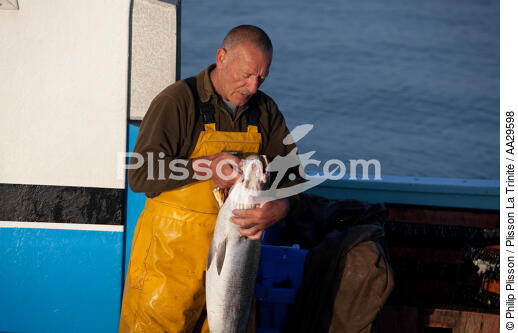 Pêche au Maigre dans l'estuaire de la Gironde - © Philip Plisson / Plisson La Trinité / AA29598 - Nos reportages photos - Bateau de pêche
