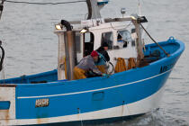 Pêche au Maigre dans l'estuaire de la Gironde © Philip Plisson / Plisson La Trinité / AA29600 - Nos reportages photos - Métier