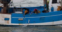 Pêche au Maigre dans l'estuaire de la Gironde © Philip Plisson / Plisson La Trinité / AA29602 - Nos reportages photos - Pêche côtière