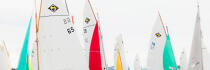 L'île aux moines regatta © Philip Plisson / Plisson La Trinité / AA29612 - Photo Galleries - Moines [Island of]