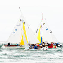 L'île aux moines regatta © Philip Plisson / Plisson La Trinité / AA29614 - Photo Galleries - Moines [Island of]