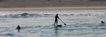 Stand up Paddle © Philip Plisson / Plisson La Trinité / AA29621 - Photo Galleries - From Soulac to Capbreton