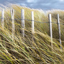 Edge of dune © Philip Plisson / Plisson La Trinité / AA29694 - Photo Galleries - Light