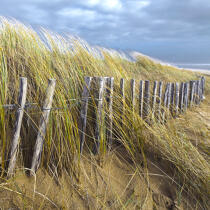 Edge of dune © Philip Plisson / Plisson La Trinité / AA29695 - Photo Galleries - Light