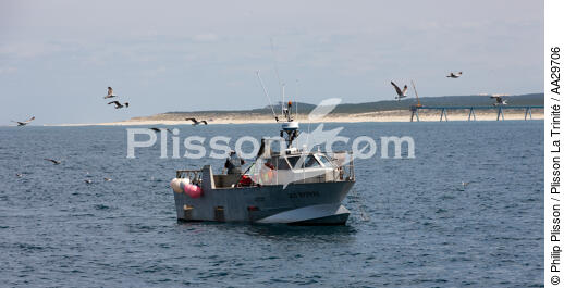 Le Cap Ferret fishermen - © Philip Plisson / Plisson La Trinité / AA29706 - Photo Galleries - From Soulac to Capbreton
