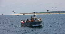 Pêcheurs du Cap Ferret © Philip Plisson / Plisson La Trinité / AA29706 - Nos reportages photos - Bateau de pêche