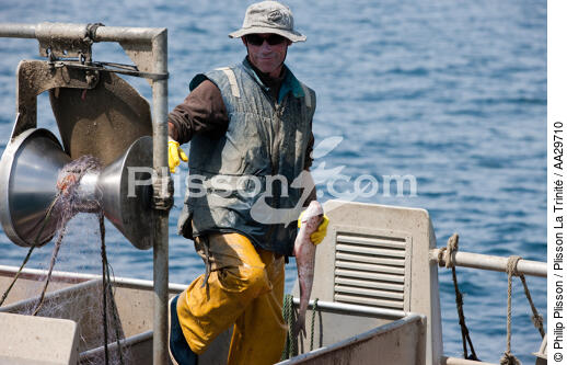Pêcheurs du Cap Ferret - © Philip Plisson / Plisson La Trinité / AA29710 - Nos reportages photos - De Soulac à Capbreton