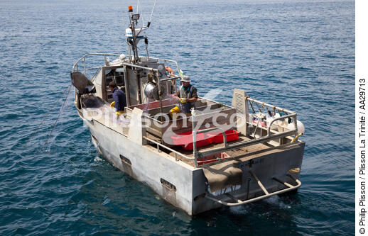 Pêcheurs du Cap Ferret - © Philip Plisson / Plisson La Trinité / AA29713 - Nos reportages photos - De Soulac à Capbreton