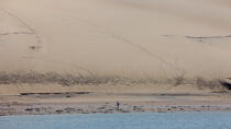 La dune du Pilat © Philip Plisson / Plisson La Trinité / AA29724 - Nos reportages photos - Pilat [Dune du]
