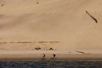 The dune du Pilat © Philip Plisson / Plisson La Trinité / AA29727 - Photo Galleries - From Soulac to Capbreton