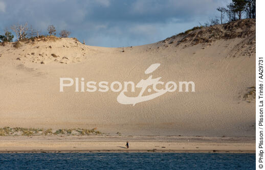 The dune du Pilat - © Philip Plisson / Plisson La Trinité / AA29731 - Photo Galleries - From Soulac to Capbreton