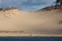 La dune du Pilat © Philip Plisson / Plisson La Trinité / AA29731 - Nos reportages photos - Parapente