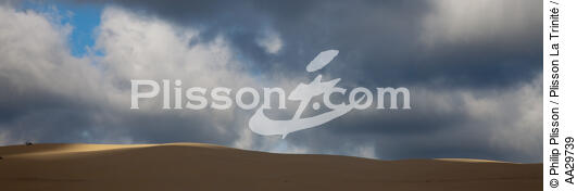 The dune du Pilat - © Philip Plisson / Plisson La Trinité / AA29739 - Photo Galleries - Pilat [Dune]