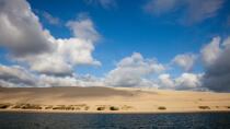 The dune du Pilat © Philip Plisson / Plisson La Trinité / AA29741 - Photo Galleries - Pilat [Dune]