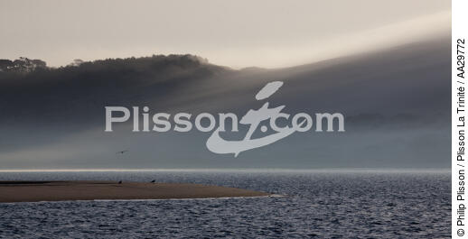 The dune du Pilat - © Philip Plisson / Plisson La Trinité / AA29772 - Photo Galleries - From Soulac to Capbreton