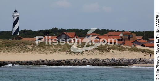 Contis plage - © Philip Plisson / Plisson La Trinité / AA29791 - Photo Galleries - Aquitaine