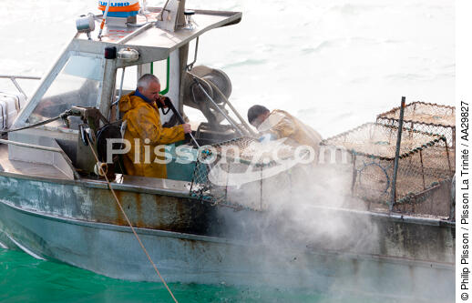 Caseyeur en pêche à la seiche - © Philip Plisson / Plisson La Trinité / AA29827 - Nos reportages photos - Manche [La]